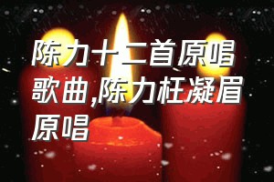 陈力十二首原唱歌曲（陈力枉凝眉原唱）