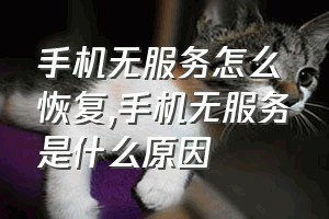 手机无服务怎么恢复（手机无服务是什么原因）