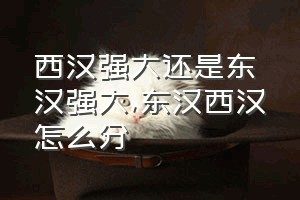 西汉强大还是东汉强大（东汉西汉怎么分）