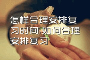 怎样合理安排复习时间（如何合理安排复习）