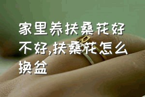 家里养扶桑花好不好（扶桑花怎么换盆）