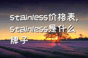 stainless价格表（stainless是什么牌子）