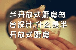 半开放式厨房岛台设计（什么是半开放式厨房）