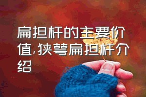 扁担杆的主要价值（狭萼扁担杆介绍）