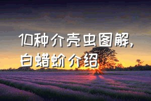 10种介壳虫图解（白蜡蚧介绍）