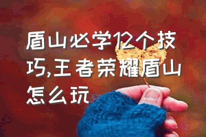 盾山必学12个技巧（王者荣耀盾山怎么玩）