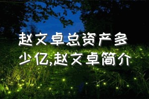 赵文卓总资产多少亿（赵文卓简介）