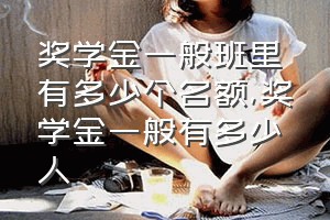 奖学金一般班里有多少个名额（奖学金一般有多少人）