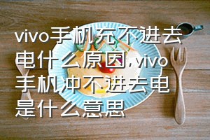 vivo手机充不进去电什么原因（vivo手机冲不进去电是什么意思）