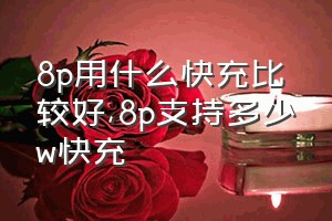 8p用什么快充比较好（8p支持多少w快充）