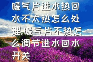 暖气片进水热回水不太热怎么处理（暖气片不热怎么调节进水回水开关）