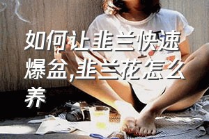 如何让韭兰快速爆盆（韭兰花怎么养）