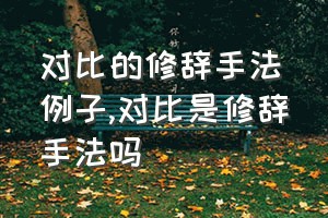 对比的修辞手法例子（对比是修辞手法吗）