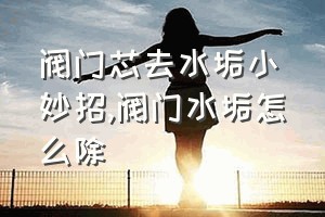 阀门芯去水垢小妙招（阀门水垢怎么除）