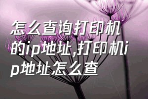 怎么查询打印机的ip地址（打印机ip地址怎么查）