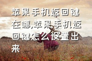 苹果手机返回键在哪（苹果手机返回键怎么设置出来）