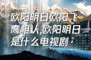 欧阳明日欧阳飞鹰相认（欧阳明日是什么电视剧）