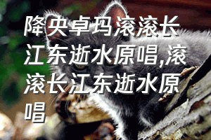 降央卓玛滚滚长江东逝水原唱（滚滚长江东逝水原唱）