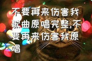 不要再来伤害我歌曲原唱完整（不要再来伤害我原唱）