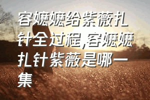 容嬷嬷给紫薇扎针全过程（容嬷嬷扎针紫薇是哪一集）