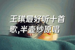 王琪最好听十首歌（半壶纱原唱）