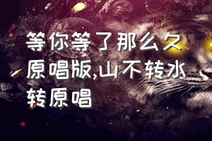 等你等了那么久原唱版（山不转水转原唱）