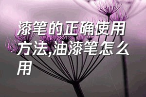 漆笔的正确使用方法（油漆笔怎么用）