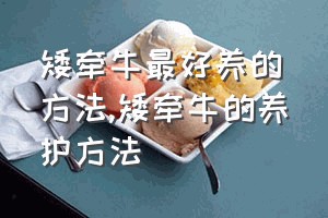 矮牵牛最好养的方法（矮牵牛的养护方法）