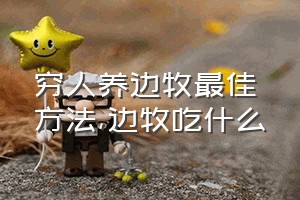 穷人养边牧最佳方法（边牧吃什么）