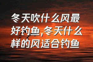 冬天吹什么风最好钓鱼（冬天什么样的风适合钓鱼）