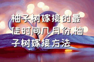 柚子树嫁接的最佳时间几月份（柚子树嫁接方法）