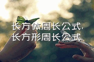 长方体周长公式（长方形周长公式）