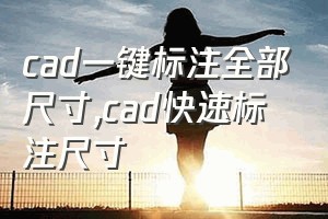 cad一键标注全部尺寸（cad快速标注尺寸）