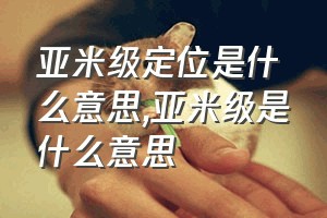 亚米级定位是什么意思（亚米级是什么意思）