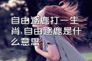 自由逐鹿打一生肖（自由逐鹿是什么意思）