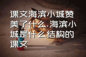 课文海滨小城赞美了什么（海滨小城是什么结构的课文）