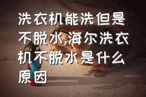 洗衣机能洗但是不脱水（海尔洗衣机不脱水是什么原因）