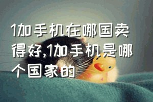 1加手机在哪国卖得好（1加手机是哪个国家的）