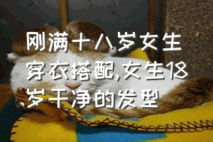 刚满十八岁女生穿衣搭配（女生18岁干净的发型）