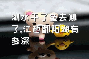 湖水干了鱼去哪了（江西鄱阳湖有多深）