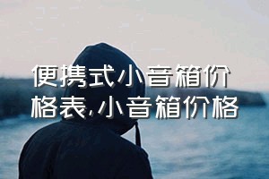 便携式小音箱价格表（小音箱价格）