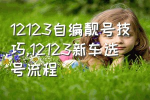 12123自编靓号技巧（12123新车选号流程）