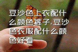 豆沙色上衣配什么颜色裤子（豆沙色衣服配什么颜色好看）