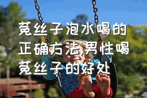 菟丝子泡水喝的正确方法（男性喝菟丝子的好处）