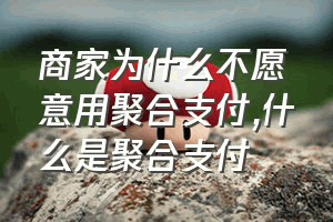 商家为什么不愿意用聚合支付（什么是聚合支付）