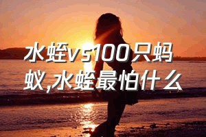 水蛭vs100只蚂蚁（水蛭最怕什么）