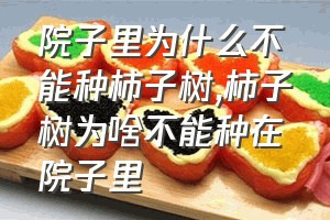 院子里为什么不能种柿子树（柿子树为啥不能种在院子里）