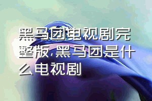 黑马团电视剧完整版（黑马团是什么电视剧）