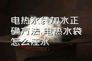 电热水袋加水正确方法（电热水袋怎么注水）