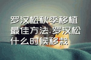 罗汉松秋季移植最佳方法（罗汉松什么时候移栽）